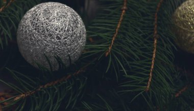 Güzel bayram kutlamaları arka planda çam dalı ve altın ve gümüş Noel oyuncakları ile