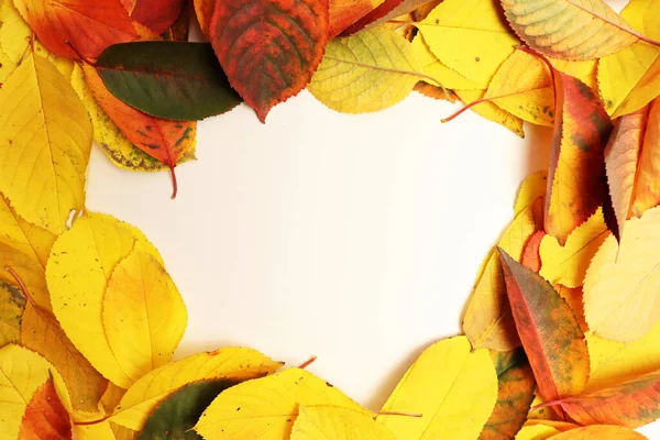 Abstrakt Färgglada Fallande Löv För Hösten Bakgrund Naturlig Oktober Banner — Stockfoto