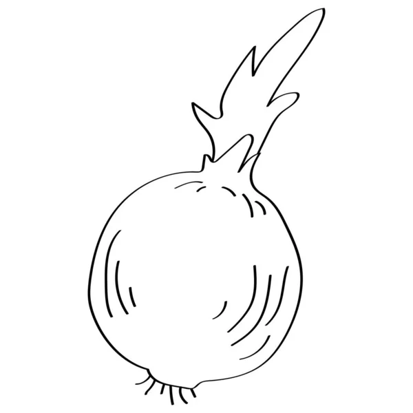 Bonita Cebola Desenho Animado Isolado Fundo Branco Para Conceito Escova — Fotografia de Stock