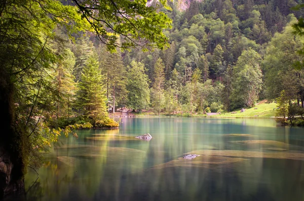 Lago na floresta — Fotografia de Stock