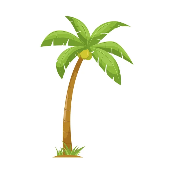 Кокосовое Дерево Рисунок Пальмы — стоковый вектор