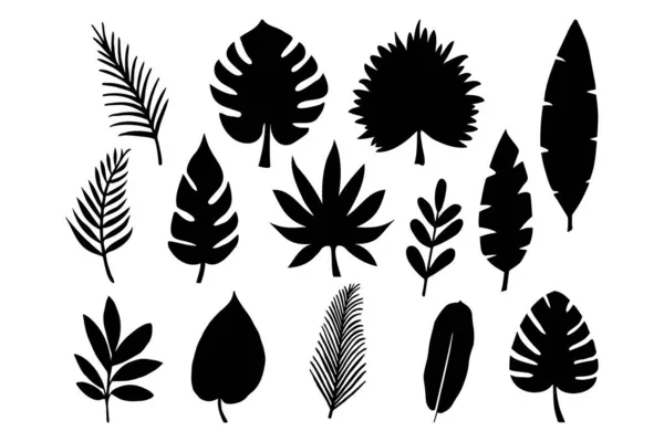 Sammlung Tropischer Blätter Handgezeichneter Vektorillustration — Stockvektor