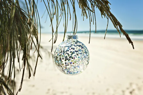 Üveg karácsonyi bál lóg egy fa a strandon Stock Kép