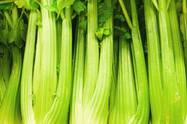 celery stalks clipart