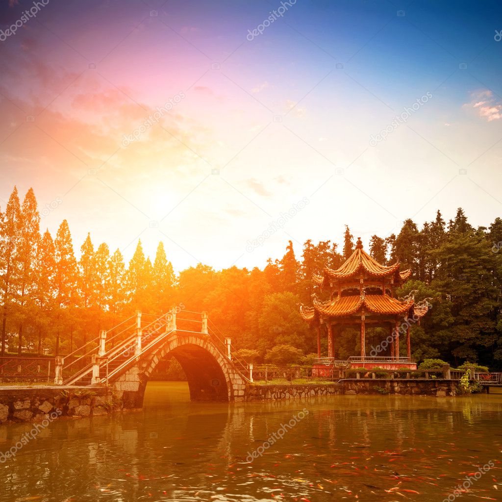 Chinese classical gardens of the twilight