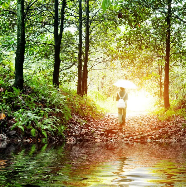 Vrouw wandelen in het bos — Stockfoto