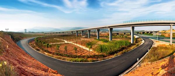 Estrada e viaduto — Fotografia de Stock