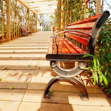 çiçekler ve koridorlar