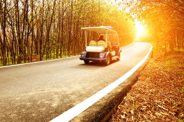 Camino en el bosque — Foto de Stock