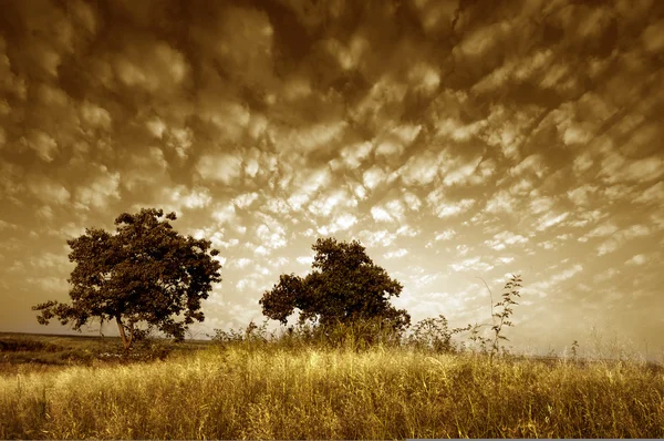 Steppe della Mongolia Interna — Foto Stock