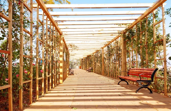 çiçekler ve koridorlar