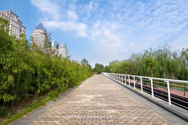 yol ülkesindeki şehirler