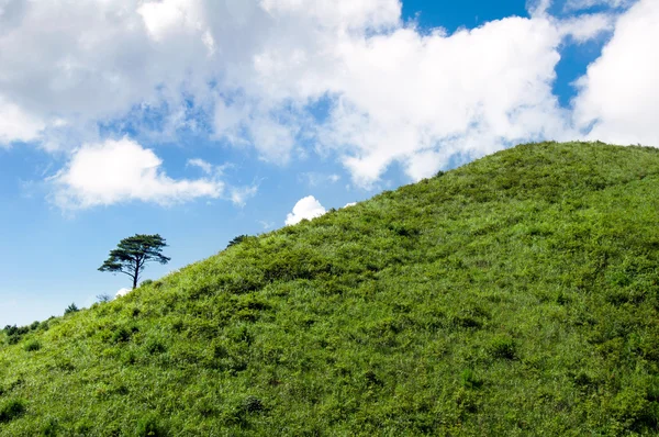 Mountain — Stock Photo, Image