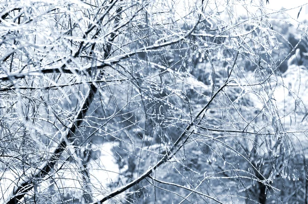Pada śnieg — Zdjęcie stockowe