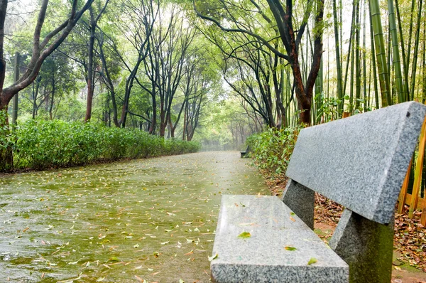 Parque en la lluvia —  Fotos de Stock