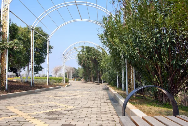 Sentiero del giardino — Foto Stock