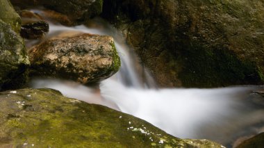 Spring Creek