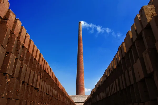 Campo de tijolos — Fotografia de Stock