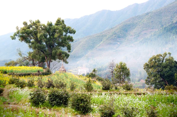 Ländliche Frühlingsszene (China wuyuan) — Stockfoto