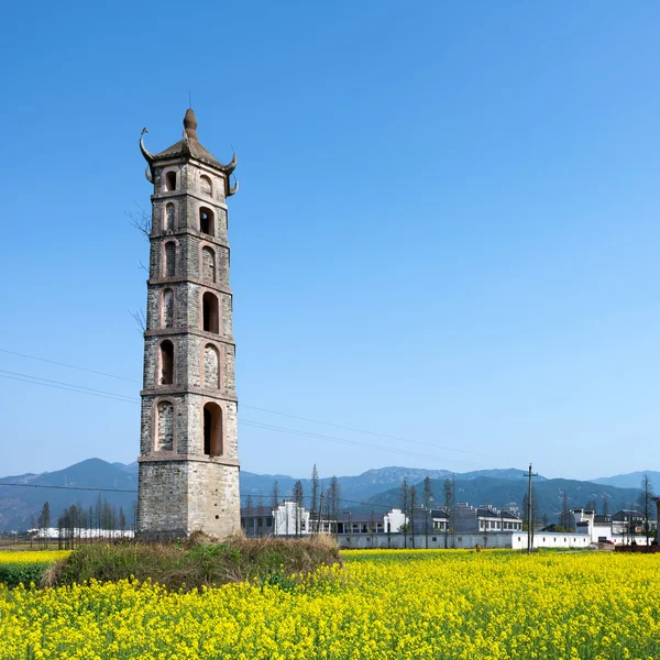 Pagodas and canola flower — Stock Photo, Image