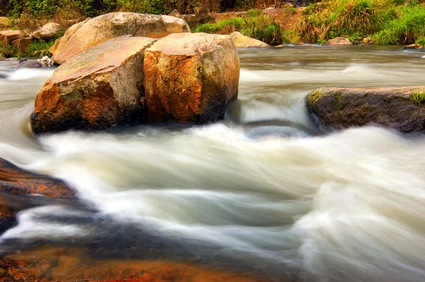 Creek — Zdjęcie stockowe