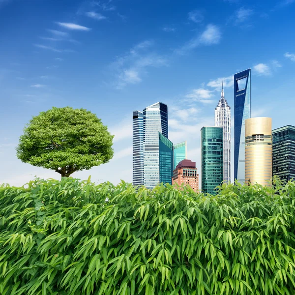 Greenery surrounded by skyscrapers — Stock Photo, Image