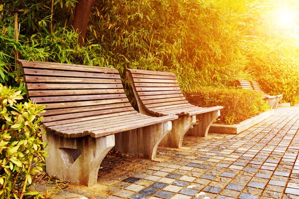 秋の公園のベンチ — ストック写真