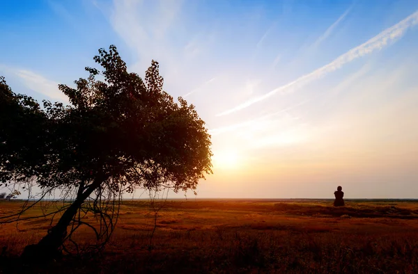 Meisje kijken naar de zonsondergang — Stockfoto