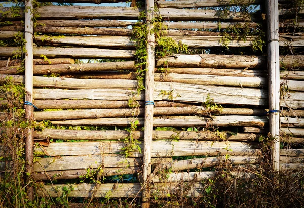 Wooden fence — Stock Photo, Image