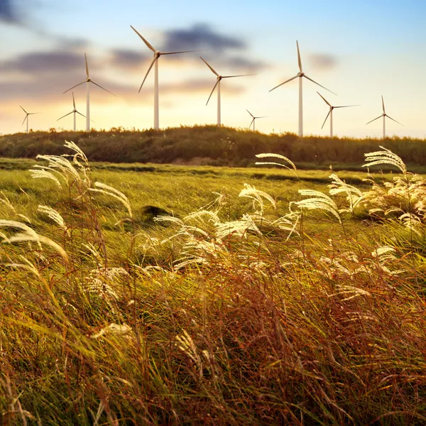 Windmolenpark — Stockfoto