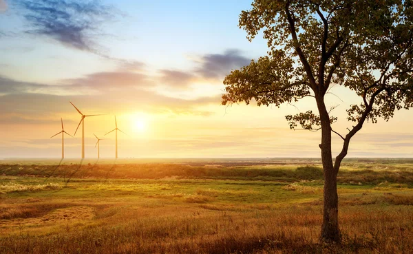 Scheiding turbine generator op de prairie — Stockfoto