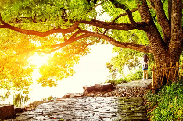 Menina do lago usando uma câmera do telefone móvel — Fotografia de Stock