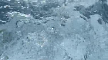 Musluk suyu bir kabın içine akar, temiz temiz su damlar.
