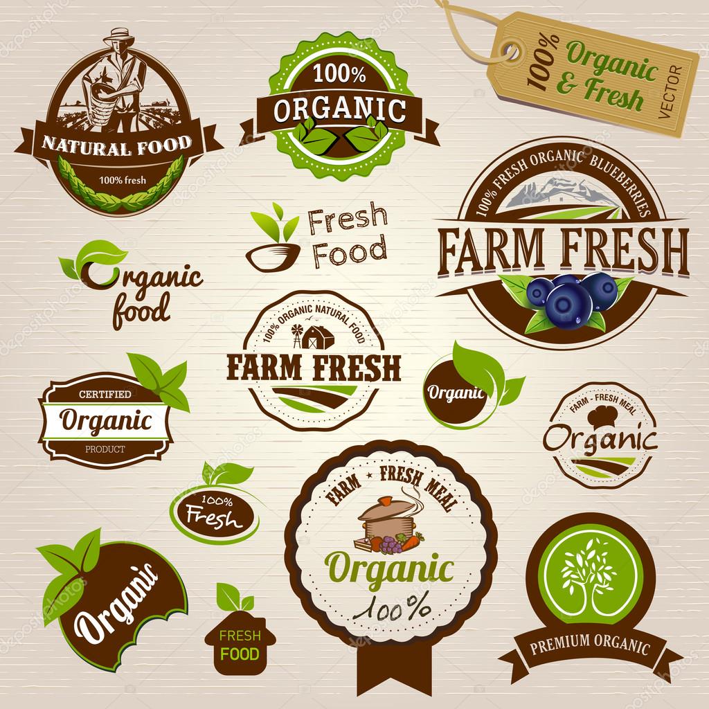 Set of Fresh Organic Labels and Elements