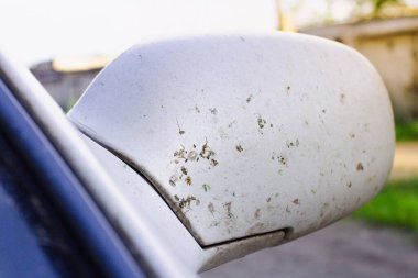 İlkbaharın başlarında arabanın tamponunda kırılan böcekler, yazın motorun aşırı ısınması sorunu.