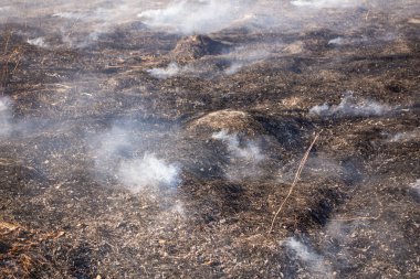 İlkbaharın başında kuru bir arazide yangın çıktı ve yanan yerden çıkan duman, ön ve arka planda bokeh etkisi ile bulanıklaşır.