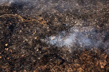 İlkbaharın başında kuru bir arazide yangın çıktı ve yanan yerden çıkan duman, ön ve arka planda bokeh etkisi ile bulanıklaşır.