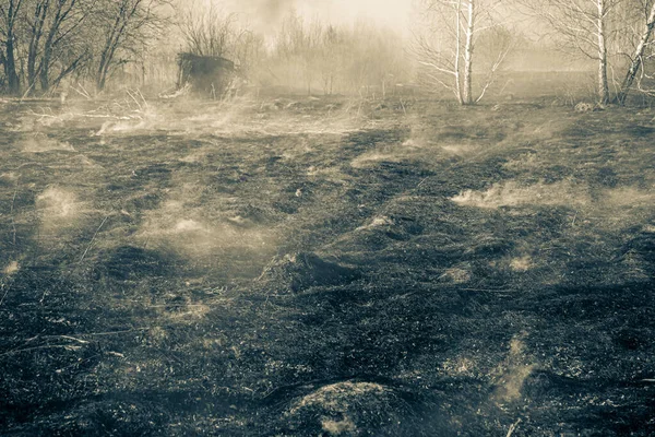 Fire Dry Field Early Spring Smoke Left Burnt Out Place — Zdjęcie stockowe