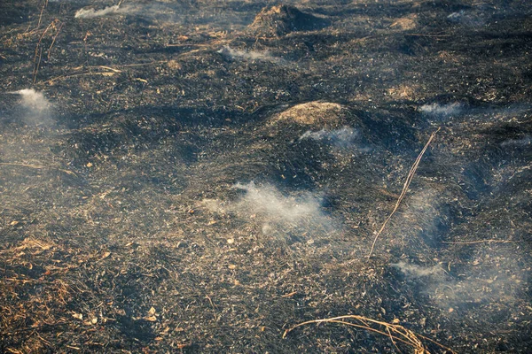 Пожар Сухом Поле Ранней Весной Дым Оставленный Выгоревшем Месте Передний — стоковое фото