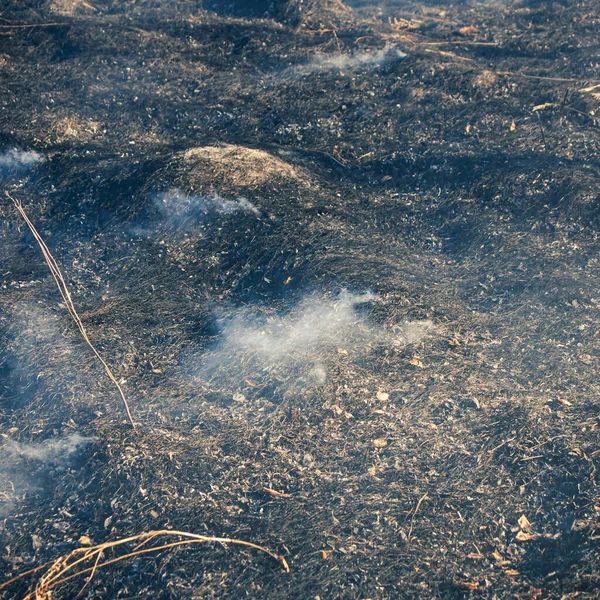 Ogień Suchym Polu Wczesną Wiosną Dym Pozostawiony Spalonym Miejscu Przednie — Zdjęcie stockowe