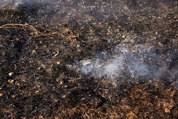 İlkbaharın başında kuru bir arazide yangın çıktı ve yanan yerden çıkan duman, ön ve arka planda bokeh etkisi ile bulanıklaşır.