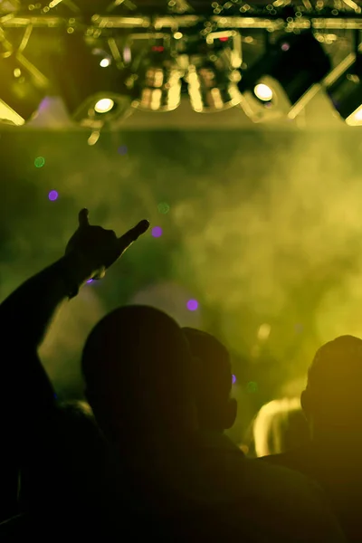 Raised Hands Crazy People Rock Concert Front Back Background Blurred — Stockfoto