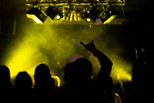 Raised Hands Crazy People Rock Concert Front Back Background Blurred — Stockfoto