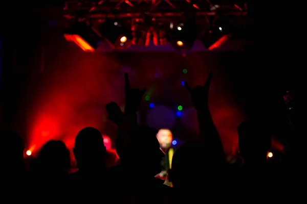 Raised Hands Crazy People Rock Concert Front Back Background Blurred — Stockfoto