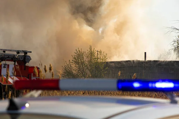 Blaulicht Auf Dem Hintergrund Eines Feuerwehrfahrzeugs — Stockfoto