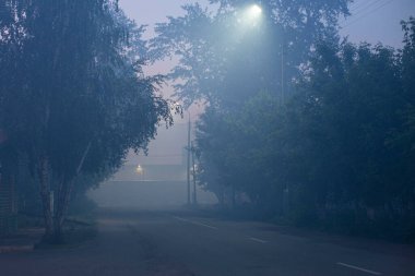 Karanlık bir akşamda, LED sokak ışıklarıyla aydınlatılan yoğun sis ile şehirde yol.