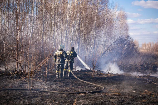 Ein Tapferer Feuerwehrmann Löscht Mit Hilfe Eines Wasserhydranten Einen Grasbrand — Stockfoto