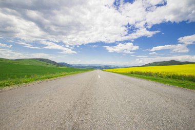Dağlar vadisine giden yol, mavi gökyüzünün altındaki çiçek açan sarı tarlaların arasından geçiyor.