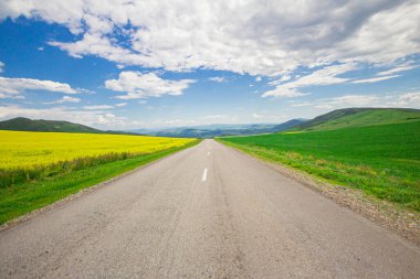 Dağlar vadisine giden yol, mavi gökyüzünün altındaki çiçek açan sarı tarlaların arasından geçiyor.