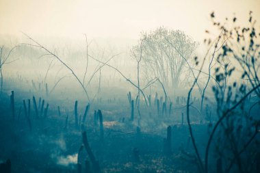 a strong fire near the city, the smoke of the atmosphere with toxic gases from fires